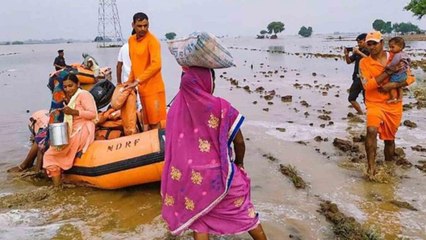 Floods in Madhya Pradesh: Several stranded due to heavy rain