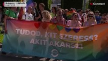 Budapeşte Onur Yürüyüşü: Orban'ın LGBTQ  politikaları protesto edildi