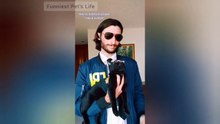 Kiss Your Pet On The Head And See Their Reaction Watch Till The End