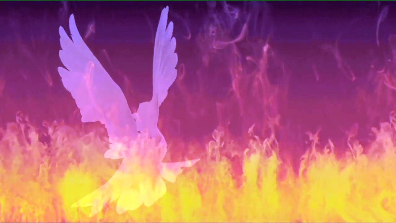 Paloma de Fuego