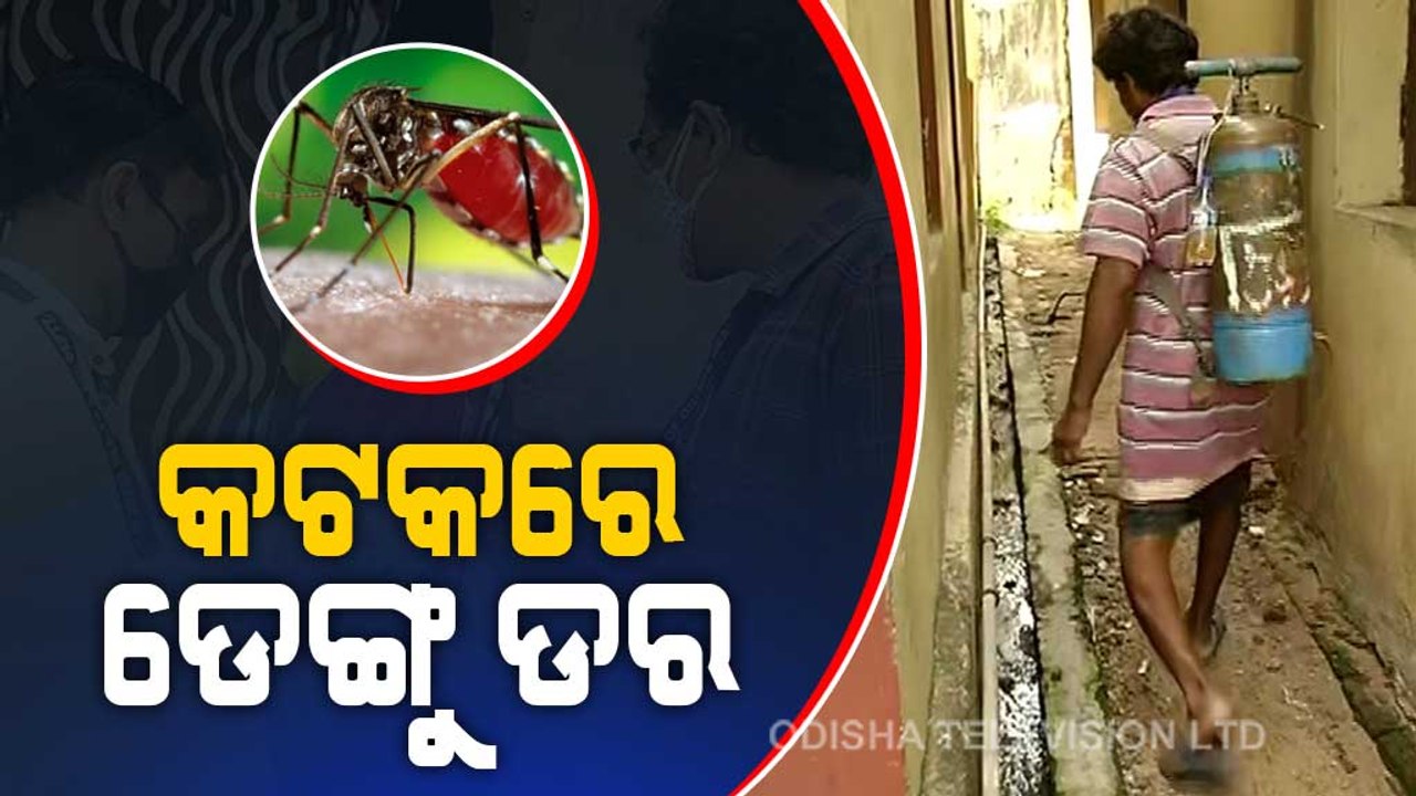Dengue Haunts Odisha | Awareness Campaigns, Cleanliness Drives Launched In Cuttack
