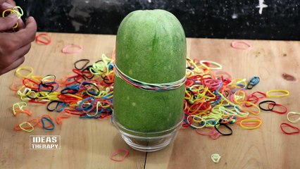 Wax Gourd Vs Rubber Bands | Ideas Therapy
