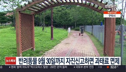 반려동물 9월 30일까지 자진신고하면 과태료 면제