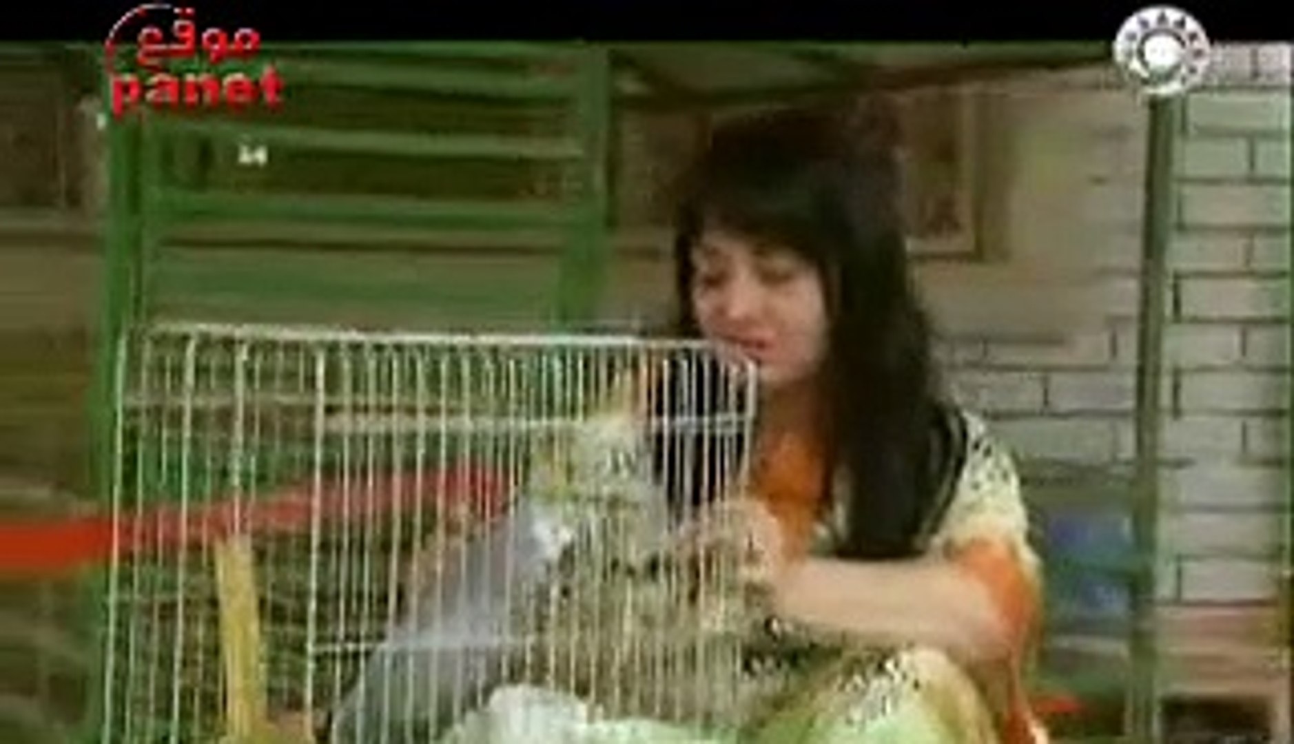 مسلسل ليلة عيد الحلقة 7 فيديو Dailymotion