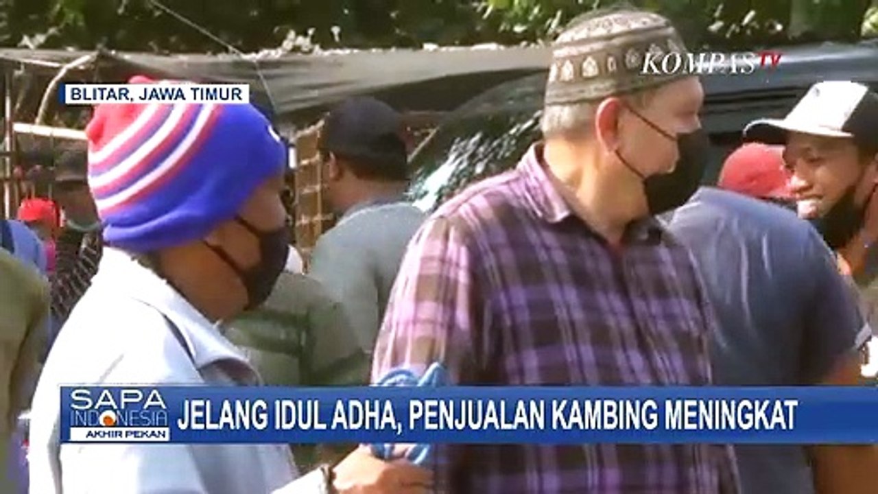 Meski Harga Hewan Qurban Meningkat, Jelang Idul Adha Penjualan Kambing Meningkat Drastis!