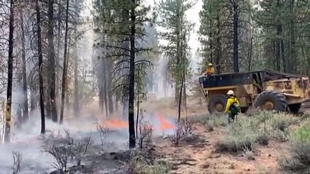 Лесные пожары в Орегоне