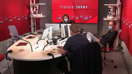 Ruminer est-il mauvais pour la santé ou rend-il intelligent ? - Le billet de Christophe Bourseiller