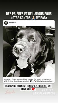 Laeticia Hallyday prie pour son chien Santos. Instagram. Le 17 juillet 2021.