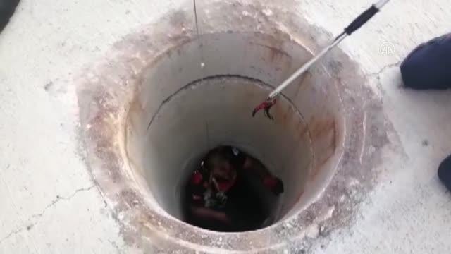 İtfaiye ekipleri kanalizasyona düşen köpek yavrusu için seferber oldu