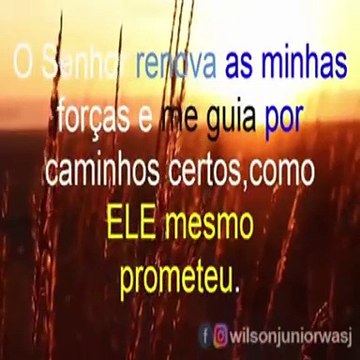O senhor é meu Pastor - Salmos 23:1-6