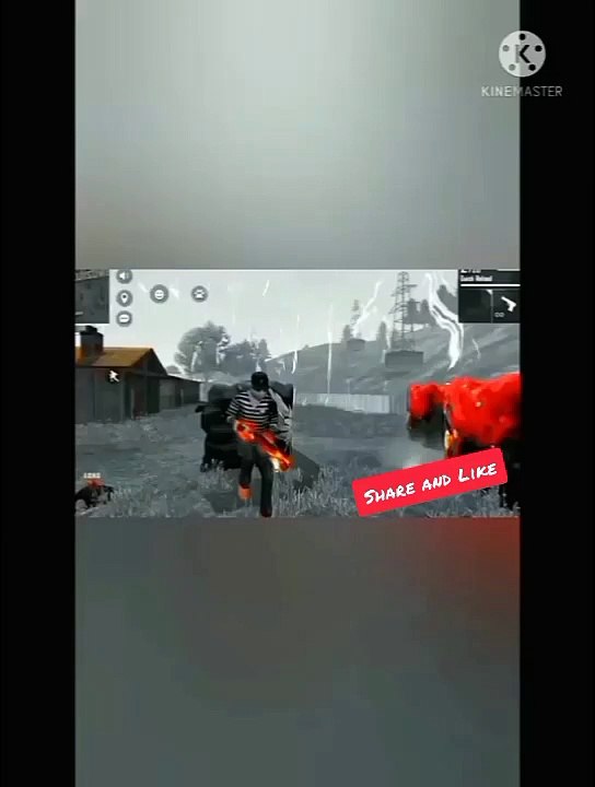 FREEFIRE true player