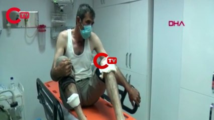Tunceli'de bozayı saldırısına uğrayan kişi yaralandı