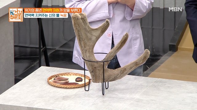 마! 이게 사슴뿔이다! 사슴뿔 전격 해부