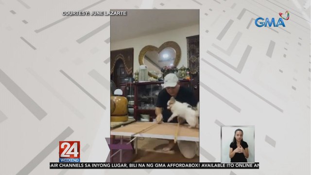 Asong si Bullet, kinagigiliwan dahil sa kanyang Tinikling dance | 24 Oras Weekend