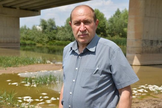 Son dakika haberi! Kızılırmak'taki balık ölümlerinin sudaki oksijen yetersizliği nden kaynaklandığı belirlendi