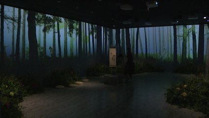 숨은 그림 찾으며 관객이 주인공이 되는 요즘 전시회 / YTN