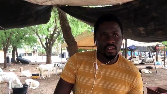 Foirail de Thiès : Ils nous ont braqués et ont emporté nos moutons