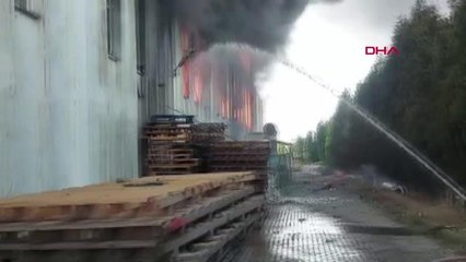TEKİRDAĞ'DA GERİ DÖNÜŞÜM FABRİKASINDA YANGIN
