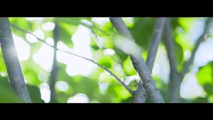 [Eng Sub Trailer]【BL】GAY BOYLOVE《猫系同桌是大神 His Cat BoyFriend》Chinese LGBT 2020 1080P 同志/同性恋/耽美/男男/爱情