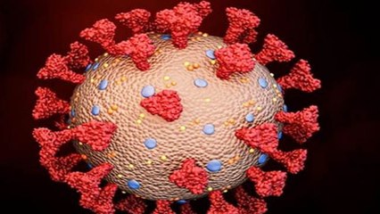 Corona Virus को क्या सच में फैलाता है Spike Protein | Boldsky