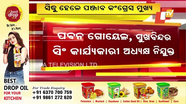 AICC President Sonia Gandhi Appoints Navjot Singh Sidhu As Punjab Congress President