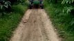 John Deere 5310 D 4WD Tractor | Biggest Wood Pulling Power |Amazing Power Stunt | Agricultur Farming Machine  @Zubair Menothil