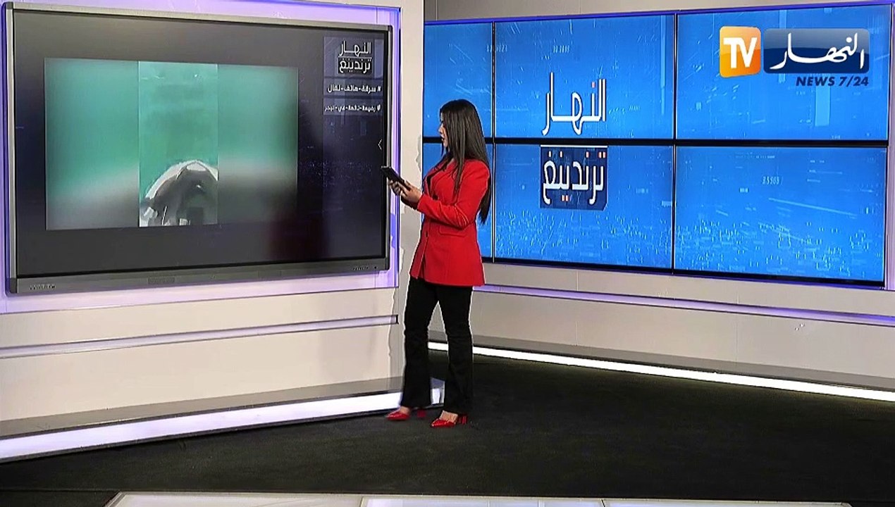 النهار ترندينغ: كاميرات مراقبة ترصد سرقة هاتف نقال وشباب ينقذون رضيعة في عرض البحر بتونس