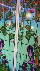 55. REGENERATION CELLULAIRE (2)