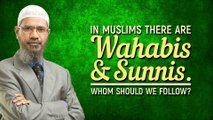 In Muslims there are Wahabis and Sunnis. Whom should we follow - Dr Zakir Naik