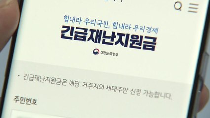 '80% 지급' 42.8% vs. ‘전 국민 지급' 38.7% / YTN