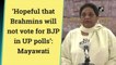 Hopeful that Brahmins will not vote for BJP in UP polls: Mayawati
