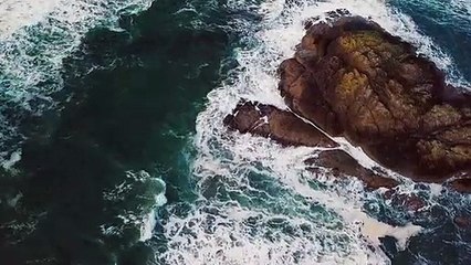 Free stock videos · Pexels Videos_2