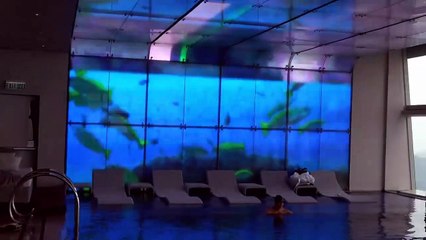 Макс в самом высоком бассейне игрушки в Мак Дональдс колесо обозрения Тайная жиз