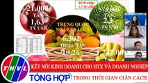 Nông nghiệp bền vững: Kết nối kinh doanh cho HTX và doanh nghiệp trong thời gian giãn cách