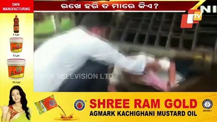 Elderly Man Survives Despite Falling Before Moving Train!!