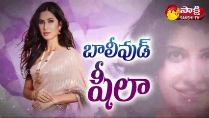 బాలీవుడ్ స్టార్ హీరోయిన్ గా వెలుగుతున్న కైఫ్
