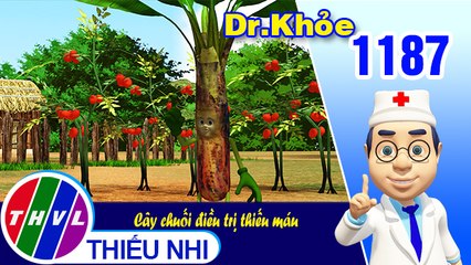 Dr. Khỏe - Tập 1187: Cây chuối điều trị thiếu máu