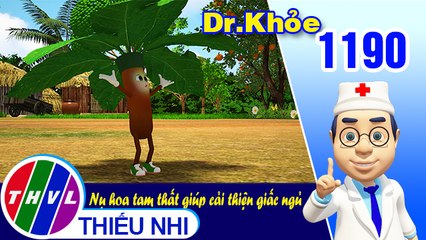 Dr. Khỏe - Tập 1190: Nụ hoa tam thất giúp cải thiện giấc ngủ
