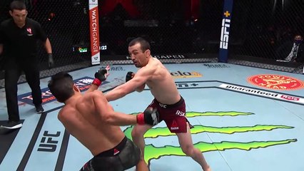 UFC 259_ Fight  Motion