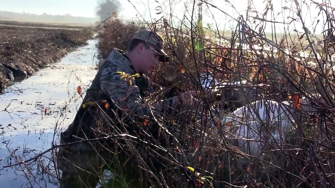 2021 Washington County NC Swan Hunt