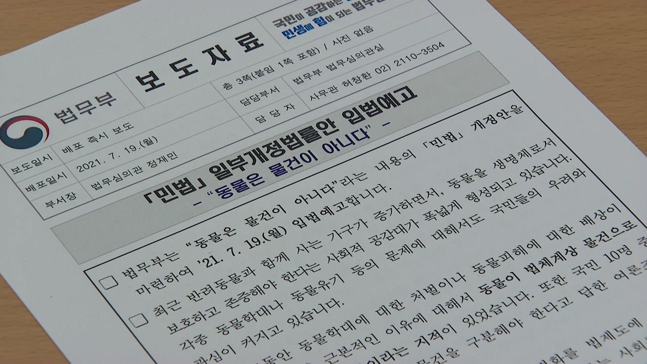 "동물은 물건이 아니다"...법무부, 민법 개정안 입법예고 / YTN