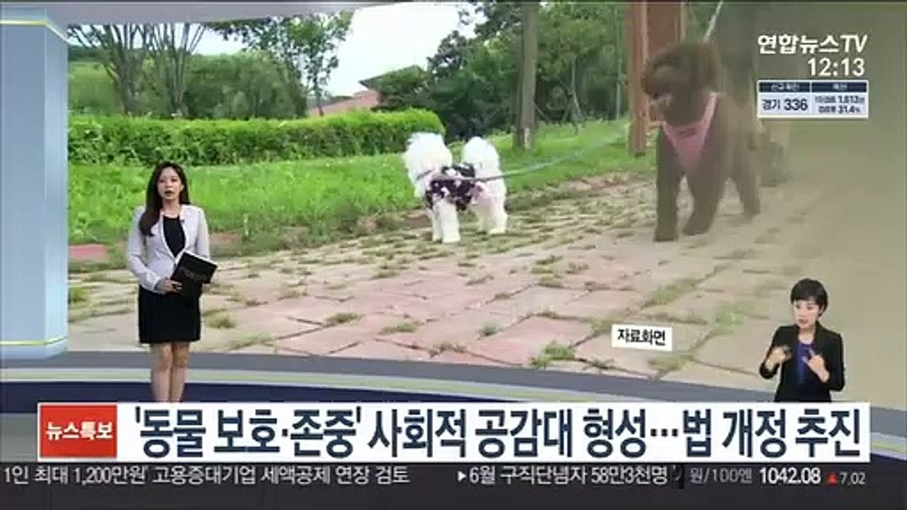 [센터뉴스] "동물, 물건 아니다"…법무부, 민법 개정안 입법예고 外