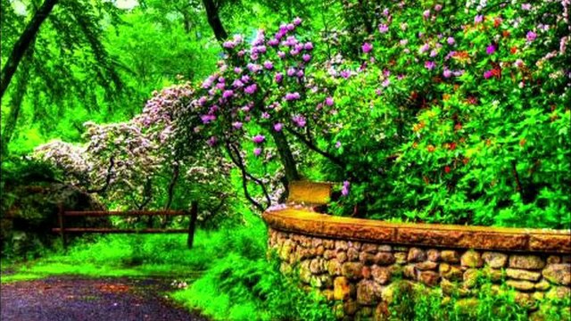 Jacques BREL au PRINTEMPS en HD