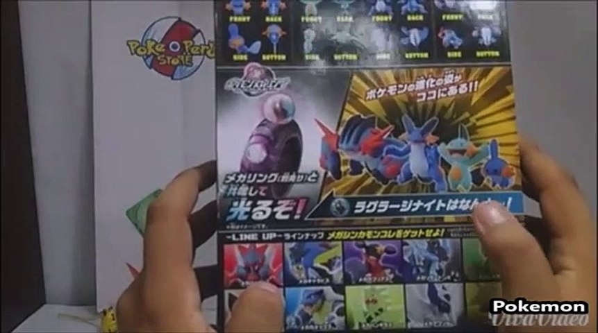 Pokemon Monster Collection Mega Evolution Mudkip Video Dailymotion