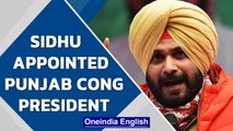 Navjot Singh Sidhu declared Punjab Congress President| Captain Amarinder Singh | Oneindia News