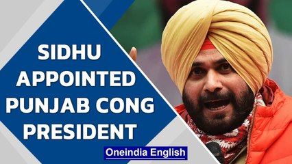 Video herunterladen: Navjot Singh Sidhu declared Punjab Congress President| Captain Amarinder Singh | Oneindia News