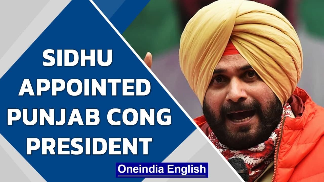 Navjot Singh Sidhu declared Punjab Congress President| Captain Amarinder Singh | Oneindia News