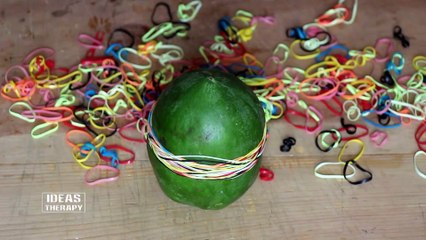 Raw Papaya Vs Rubber Bands | Ideas Therapy