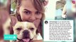 Chrissy Teigen and John Legend’s Dog Pippa Died In Her Arms