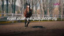 رؤية الحصان في المنام للعزباء